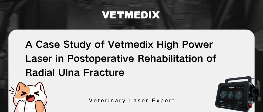 การแบ่งปันเคส Vetmedix 丨การรักษาด้วยเลเซอร์กำลังสูงในการฟื้นฟูสมรรถภาพหลังผ่าตัดของการแตกหักของรัศมี ulna
